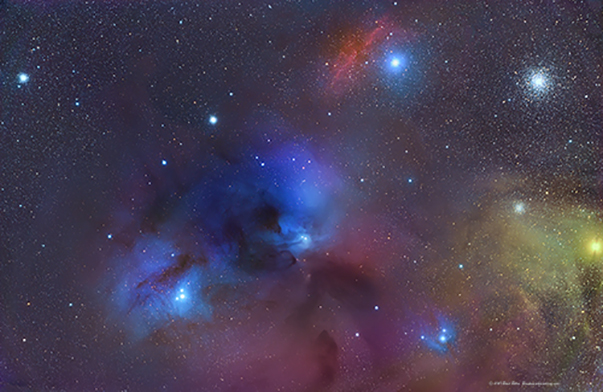 Rho Ophiuchi Complex
